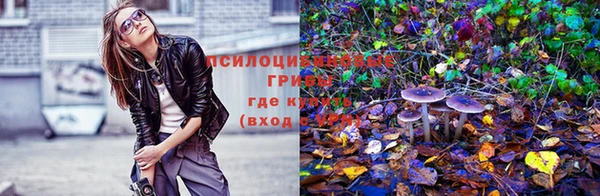 ALPHA-PVP Бугульма