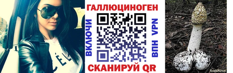 дарнет шоп Курск MEGA зеркало Галлюциногенные грибы мухоморы
